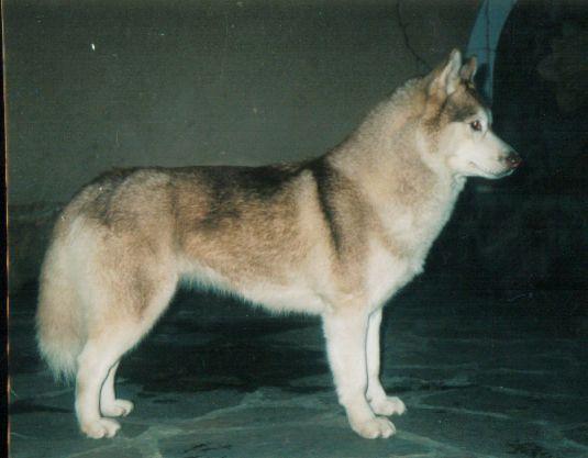myra (54).jpg